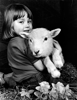 <b class=qtipBold><figcaption>Little girl holding a lamb</figcaption></b><br>A little girl holding a lamb.<br><em>© Mary Evans Picture Library/ANDREW BESLEY</em> Little girl holding a lamb