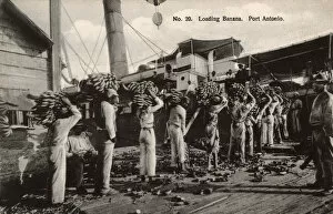 Loads Gallery: Loading Bananas - Port Antonio, Jamaica