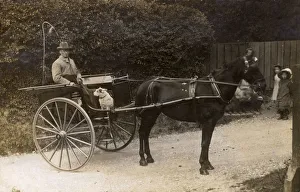 The Local Country Squire - out for a ride in his trap The Local Country Squire - out for a ride in his trap