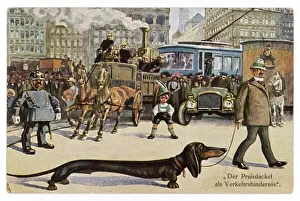 Traffic Gallery: Very Long Dachshund Dog