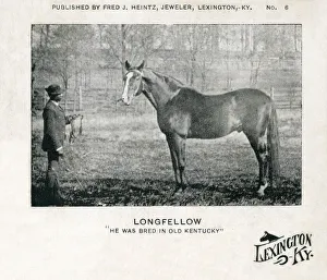 Longfellow - American Thoroughbred racehorse and sire Longfellow - American Thoroughbred racehorse and sire