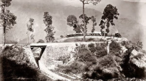 Loop Gallery: Loop on the Darjeeling railway, India, c.1880 s