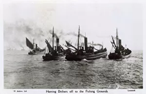 Grounds Collection: Lowestoft, Suffolk, Herring Drifters off the Fishing Grounds