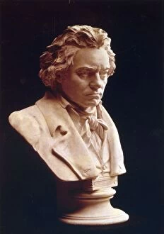 Mask Collection: Ludwig van Beethoven - studied from the death mask i.e. life