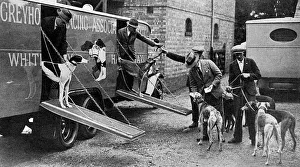 Luxury transport for greyhounds - the new GRA conveyance Luxury transport for greyhounds - the new GRA conveyance