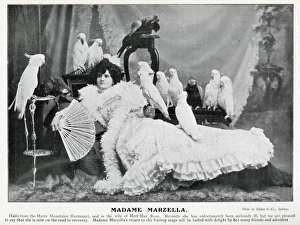 Madame Marzella with white cockatoos 1905 Madame Marzella with white cockatoos 1905