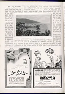 Dental Gallery: Madeira Picture Page