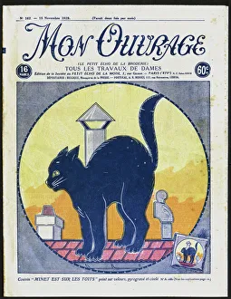 Magazine cover design, Cat on a Roof Magazine cover design, Cat on a Roof