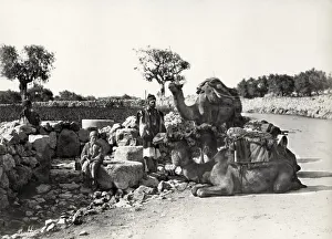 Well of Magi, Bethlehem, Holy Land, Palestine, Israel Well of Magi, Bethlehem, Holy Land, Palestine, Israel