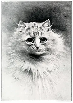 In Maiden Meditation, cat portrait by Louis Wain In Maiden Meditation, cat portrait by Louis Wain