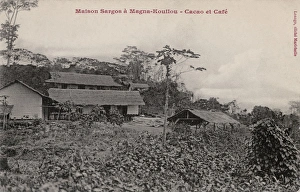 Plantations Gallery: Maison Sargos at a cacao and coffee plantation, Congo