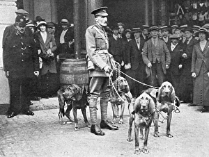 Major Richardson leaves for Belgium with bloodhounds, WW1 Major Richardson leaves for Belgium with bloodhounds, WW1