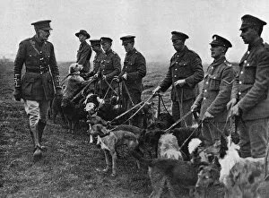 Images Dated 21st February 2017: Major Richardson and his messenger dogs