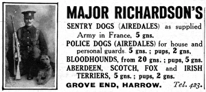 Major Richardsons sentry dogs advertisement Major Richardsons sentry dogs advertisement