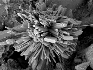 <b class=qtipBold><figcaption>Malachite</figcaption></b><br>Malachite comprises of (copper carbonate hydroxide). Malachite has distinctive green banding and belongs to the carbonate class. Date:<br><em>© Mary Evans / Natural History Museum</em> Malachite