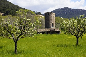 Mallorca, Spain, Valldemossa - old windmill tower Mallorca, Spain, Valldemossa - old windmill tower