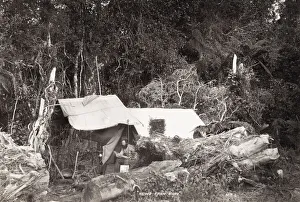 Man in a bush tent, likely New Zealand Man in a bush tent, likely New Zealand