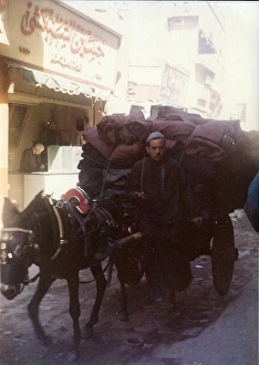 Man driving a Horse and cart with black sacks on a street in Man driving a Horse and cart with black sacks on a street in