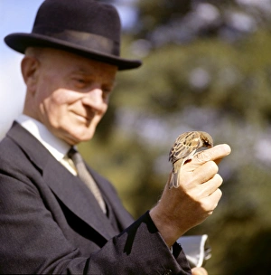 Man feeding a sparrow in a park Man feeding a sparrow in a park