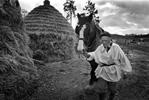 Trust Gallery: A man leads a working horse past old-fashioned hay stacks
