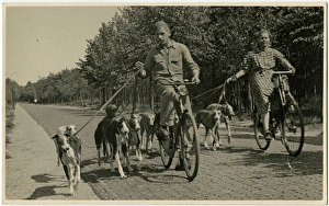 Man and woman with bicycles and greyhound dogs Man and woman with bicycles and greyhound dogs