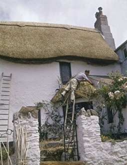 Man at work thatching a cottage roof, West Country Man at work thatching a cottage roof, West Country