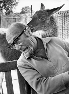 Man at a zoo receives unexpected attention Man at a zoo receives unexpected attention