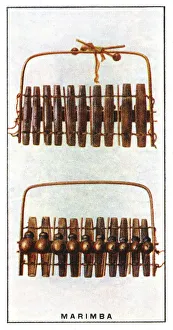 Marimba Marimba