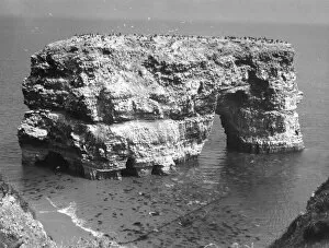 Cliffs Gallery: Marsden Rock