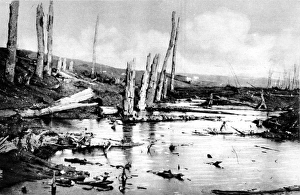 Marshland on the Western Front; First World War, 1916 Marshland on the Western Front; First World War, 1916