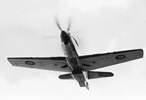 <b class=qtipBold><figcaption>Martin-Baker Mb-5 Flying</figcaption></b><br>Martin-Baker Mb-5 Flying Date: 1944<br><em>© aviation-images.com / Mary Evans Picture Library</em> Martin-Baker Mb-5 Flying