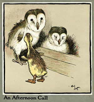 Master Quack the duckling meets two owls Master Quack the duckling meets two owls