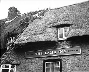Master Thatcher R Craker working on Lamb Inn, Little Milton Master Thatcher R Craker working on Lamb Inn, Little Milton