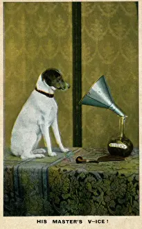 Prints of His Masters Voice/V-ice, England. Date: 1911 Poster Prints: His Masters Voice Print, England 1911