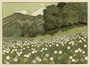 <b class=qtipBold><figcaption>Meadow in Summer 1904</figcaption></b><br>A profuse proliferation of dandelion heads in a German meadow in high summer.<br><em>© Mary Evans Picture Library 2015 - https://copyrighthub.org/s0/hub1/creation/maryevans/MaryEvansPictureID/10138617</em> Meadow in Summer 1904