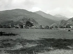 Meadows, Snowdonia National Park, North Wales Meadows, Snowdonia National Park, North Wales
