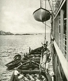 Meat supply off the coast of Chile, South America Meat supply off the coast of Chile, South America