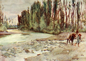 Riverbed Gallery: Meeting point of the Archiano River and the Arno - Italy