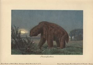 Megatherium americanum or Great Beast, genus