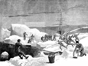 Men of the British Arctic Expedition cutting a channel throu Men of the British Arctic Expedition cutting a channel throu
