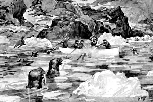 Men of the Jackson-Harmsworth Polar Expedition hunting walru Men of the Jackson-Harmsworth Polar Expedition hunting walru
