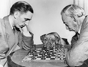 Bored Gallery: Two men playing chess, watched by a boxer dog