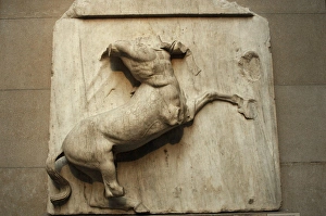 Metope. Parthenon marbles. Centaur. 5th century BC Metope. Parthenon marbles. Centaur. 5th century BC