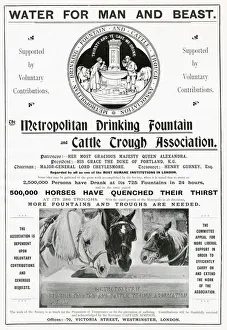 Metropolitan drinking Fountain and cattle trough association Metropolitan drinking Fountain and cattle trough association