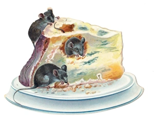 Three mice eating cheese on a cutout greetings card Three mice eating cheese on a cutout greetings card