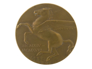 Images Dated 21st November 2014: Military Award - Medal - Decoration