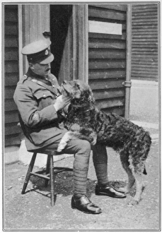 Military police Airedale dog at Aldershot Military police Airedale dog at Aldershot