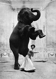 Trainers Gallery: Miss Orford and her performing elephant