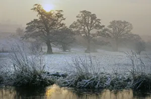 A misty frosty morning along the River Penk in Staffordshire A misty frosty morning along the River Penk in Staffordshire
