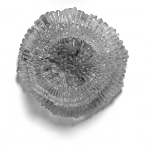 Protista Gallery: Model of coccolith Kamptnerius magnificus